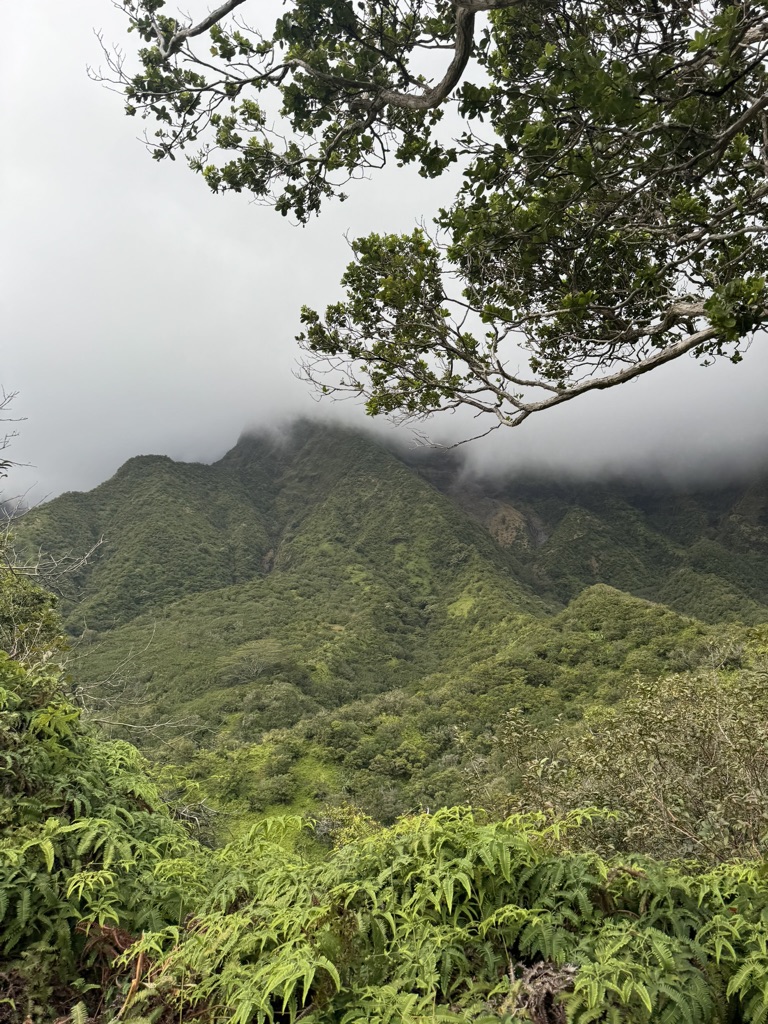 Iao Valley Hike